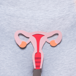 cervix in pregnancy
