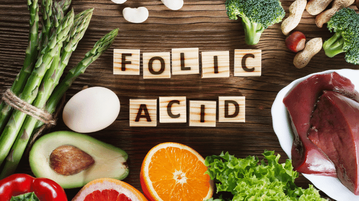 folic acid in pregnancy