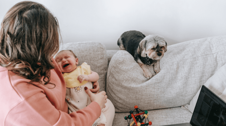 Why Do Babies Cry in Their Sleep